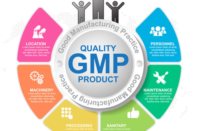 What is GMP – 10 Principles of GMP ?